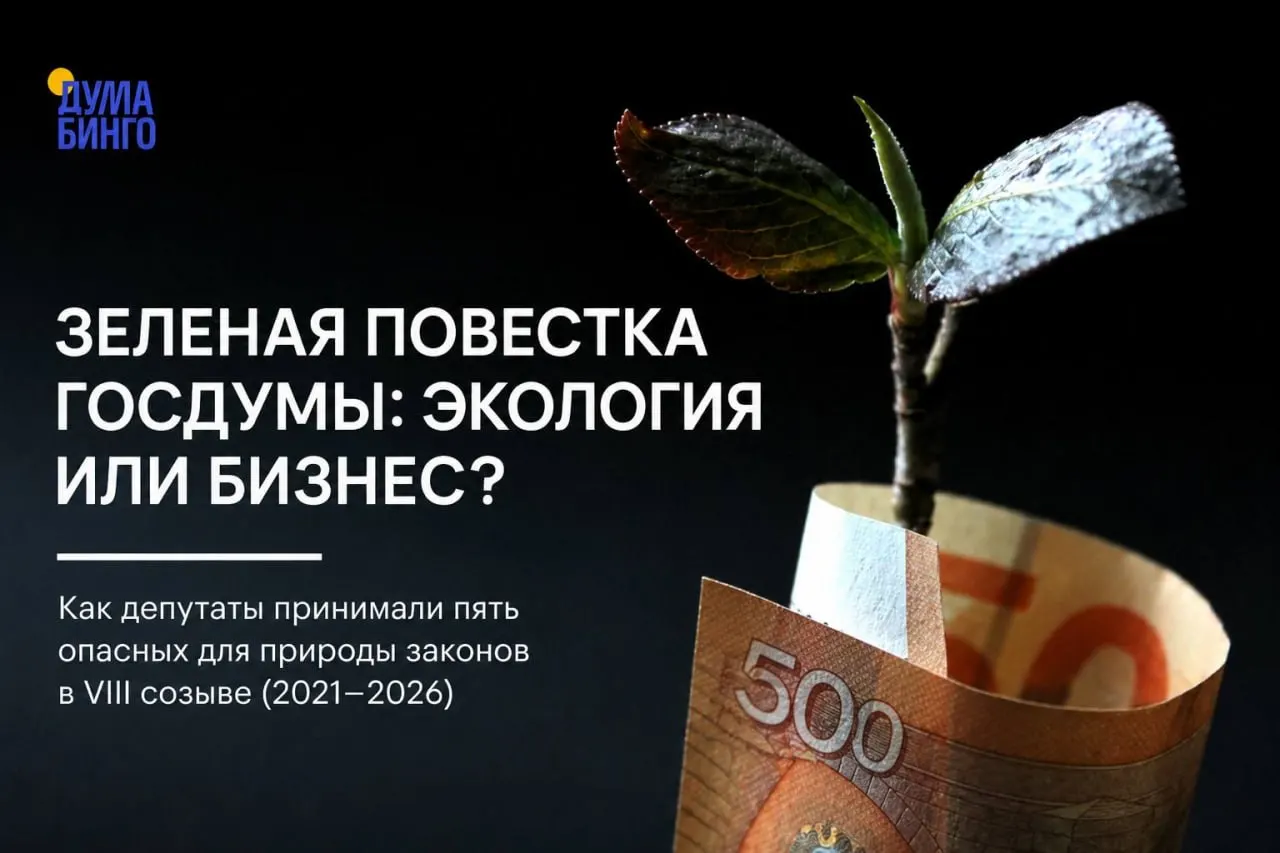 Анализ законодательных инициатив последних лет показывает систематическое принятие поправок, которые сокращают возможности общественного контроля и ослабляют охрану природных территорий.