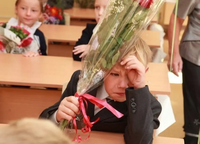 В Минпросвещения подтвердили, что оптимальной признана 11‑летняя модель обучения. Ни сокращать, ни увеличивать число классов в ближайшее время не планируют; все стандарты будут учитывать именно эту систему.