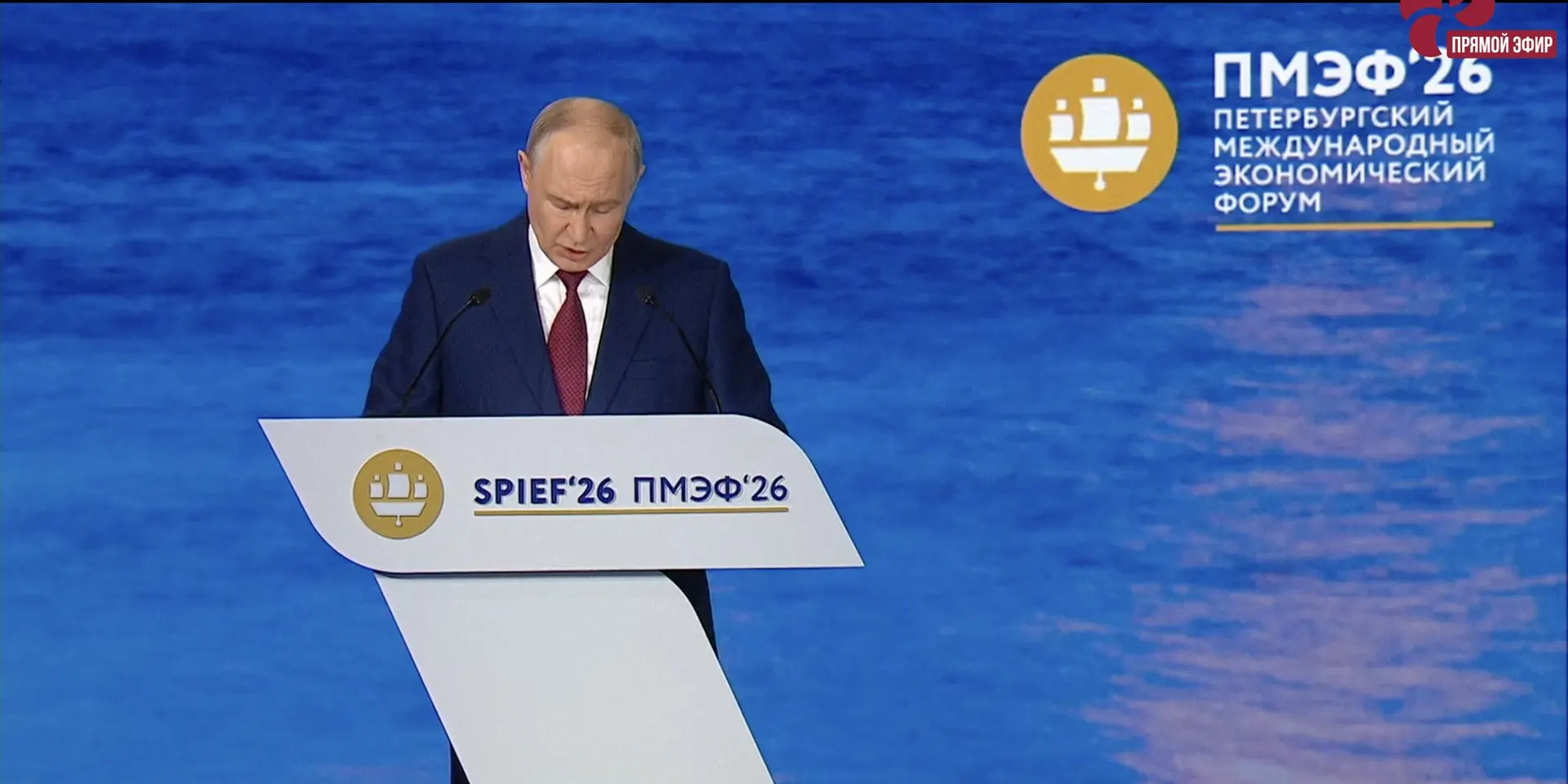На пленарном заседании ПМЭФ президент призвал Госдуму оперативно принять закон, который закрепит институт стажировок для выпускников колледжей и вузов; предлагается шестимесячная стажировка с наставниками.