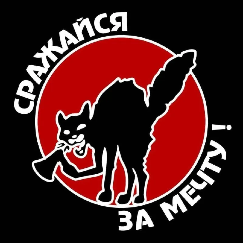 В обновлённый список вошли анархистское объединение, правозащитный проект по Крыму, социолог Елена Конева и оппозиционное медиа.