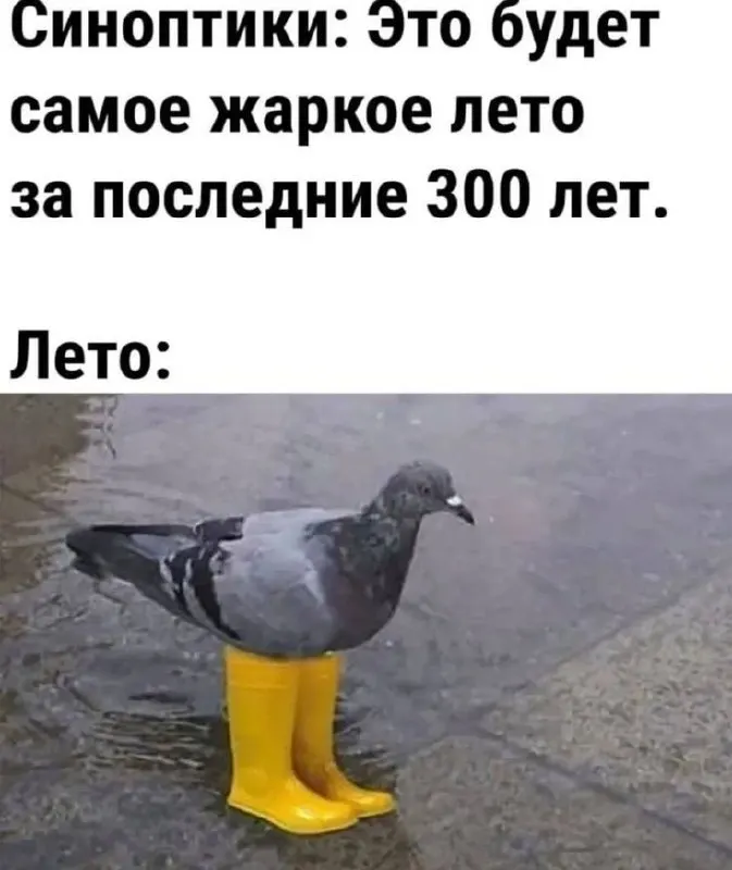 Днём местами ожидаются сильные дожди с грозами и возможным градом. Утром и в течение дня прогнозируется усиление северо‑западного и северного ветра с порывами до 15–20 м/с.