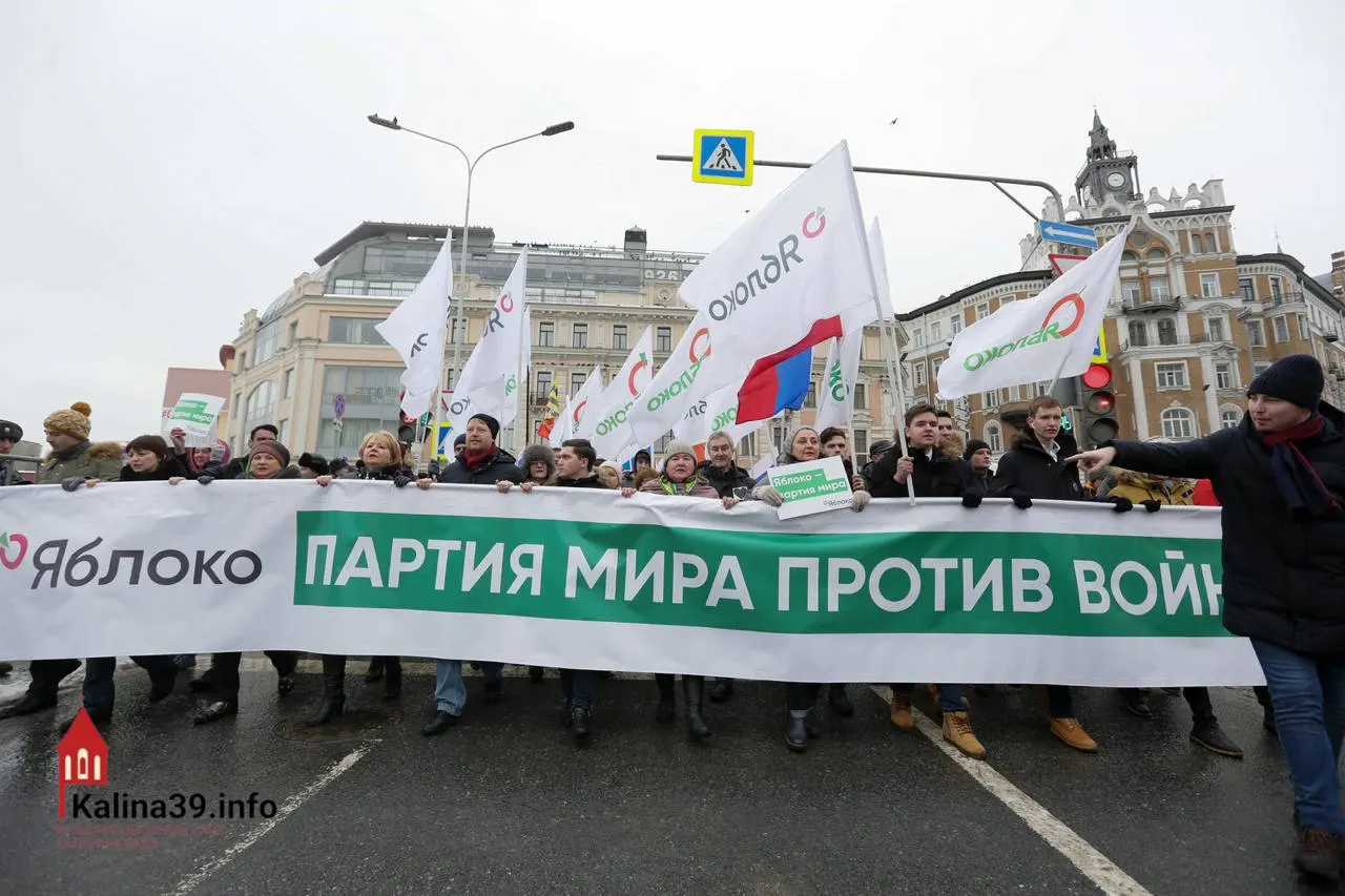 Регистрация федерального списка «Яблока» воспринимается экспертами как попытка канализировать протестный электорат; при этом многие известных членов партии были лишены возможности баллотироваться.