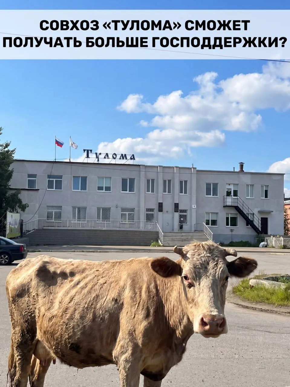Теперь субсидии смогут получать и хозяйства с долей государства или муниципалитета свыше 25%. Для Мурманской области это важно, но кризис в совхозе «Тулома» ставит под вопрос скорость и эффективность помощи.