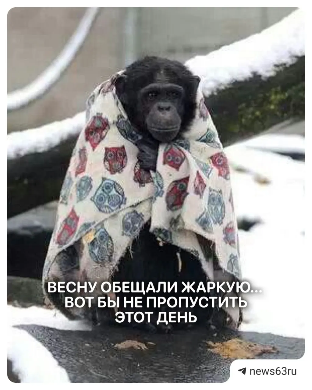 Днём ожидается до +25°C, но ночами столбики термометров могут опускаться до +2°C; возможны кратковременные дожди и ветер.