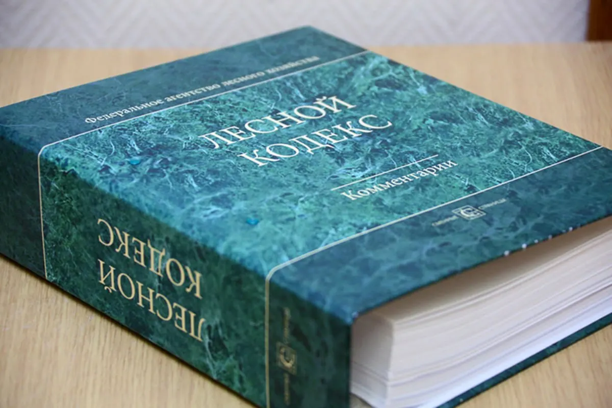 С момента принятия в 2006 году в кодекс внесли 79 наборов поправок; эксперт по лесному хозяйству считает, что документ следует заменить упрощённой и компактной версией.