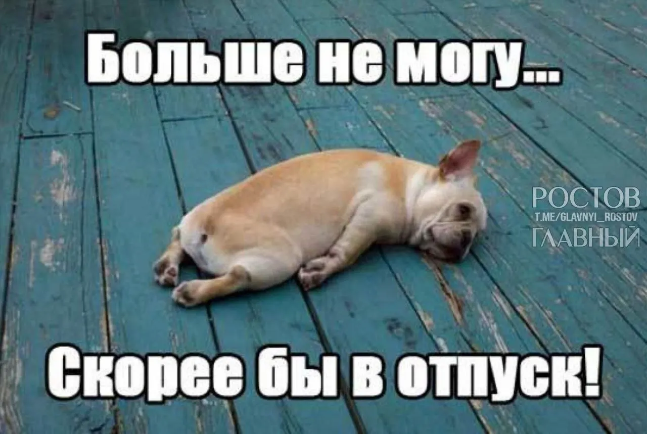 В Госдуме предложили повысить минимальный оплачиваемый отпуск с 28 до 35 дней — чтобы учесть включённые в отпуск выходные и снизить риск профессионального выгорания.