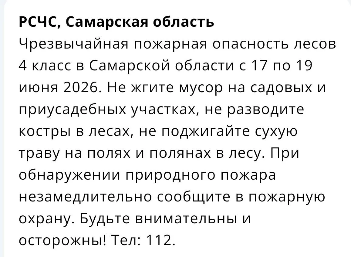 С 17 по 19 июня в Самарской области установлен 4-й класс чрезвычайной пожарной опасности лесов.