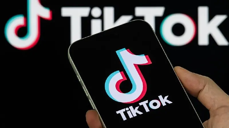 Платформу наказали за то, что она не удалила два ролика, которые власти сочли «пропагандой нетрадиционных сексуальных отношений». Ранее Верховный Суд признал «Международное движение ЛГБТ» экстремистской организацией.