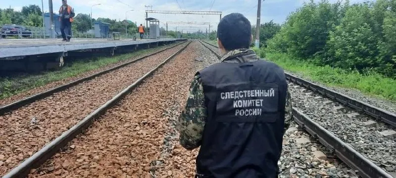 Вечером 27 июля на перегоне между станциями Мирная и Зубчаниновка в Кировском районе Тольятти грузовой поезд смертельно травмировал пешехода. Следственные органы выясняют обстоятельства происшествия.