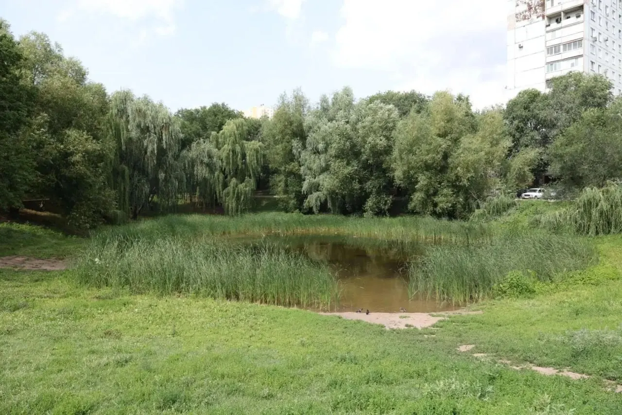 Водоём в сквере «Дубовый колок» давно в запустении и к 2025 году практически пересох. Власти планируют восстановить пруд своими силами.
