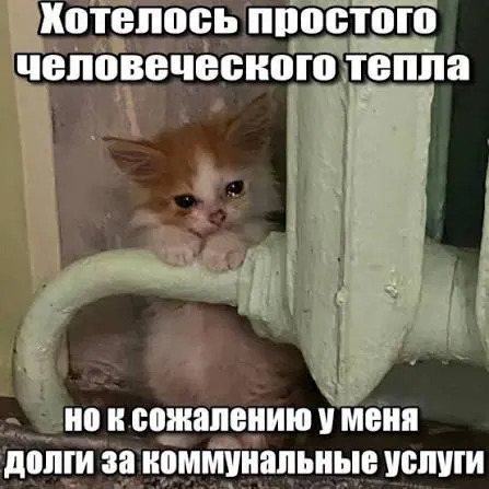 Суд подтвердил, что срок исковой давности по требованиям о капремонте — три года, поэтому задолженности старше этого срока нельзя навязывать в квитанциях; решение важно для покупателей вторичного жилья и наследников.