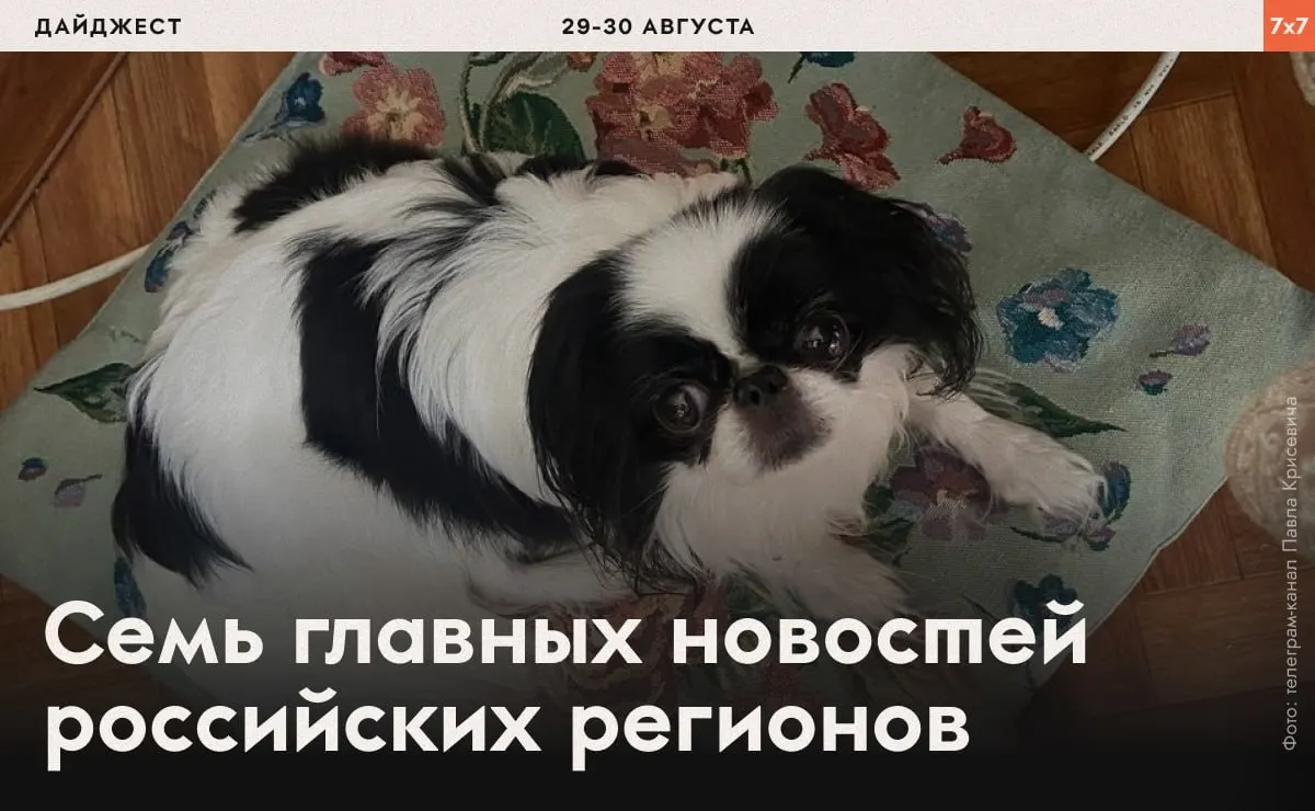 Сводка по регионам России: давление на политзаключённых, запреты на агитацию и новые инциденты в СИЗО.