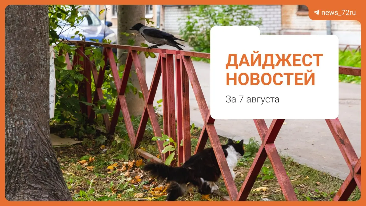 Дайджест региональных новостей: улучшение запаха воды в Тюмени и важные городские события.