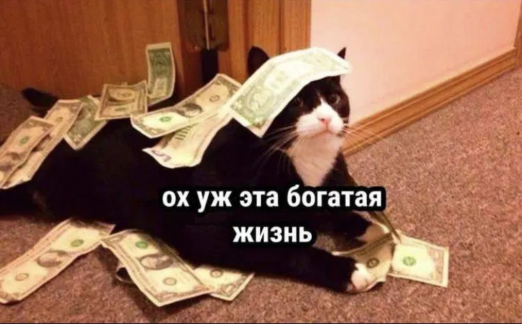 По данным региональной статистики, в мае средняя зарплата составила 84 421 рубль — на 8,3% выше уровня прошлого года.