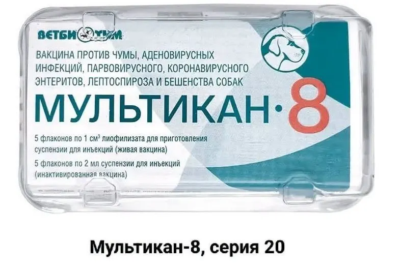 Пострадавшие призывают общественность к расследованию случаев гибели собак после вакцинации препаратом Мультикана-8 и требуют прозрачности со стороны лабораторий и производителя.