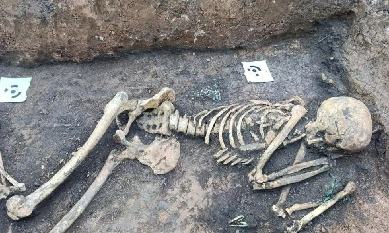 В древнем кургане найдены две погребальные камеры: одна принадлежала знати с золотыми украшениями; рядом лежал младенец. Археологи предполагают наличие древнего вождя в соседней камере.