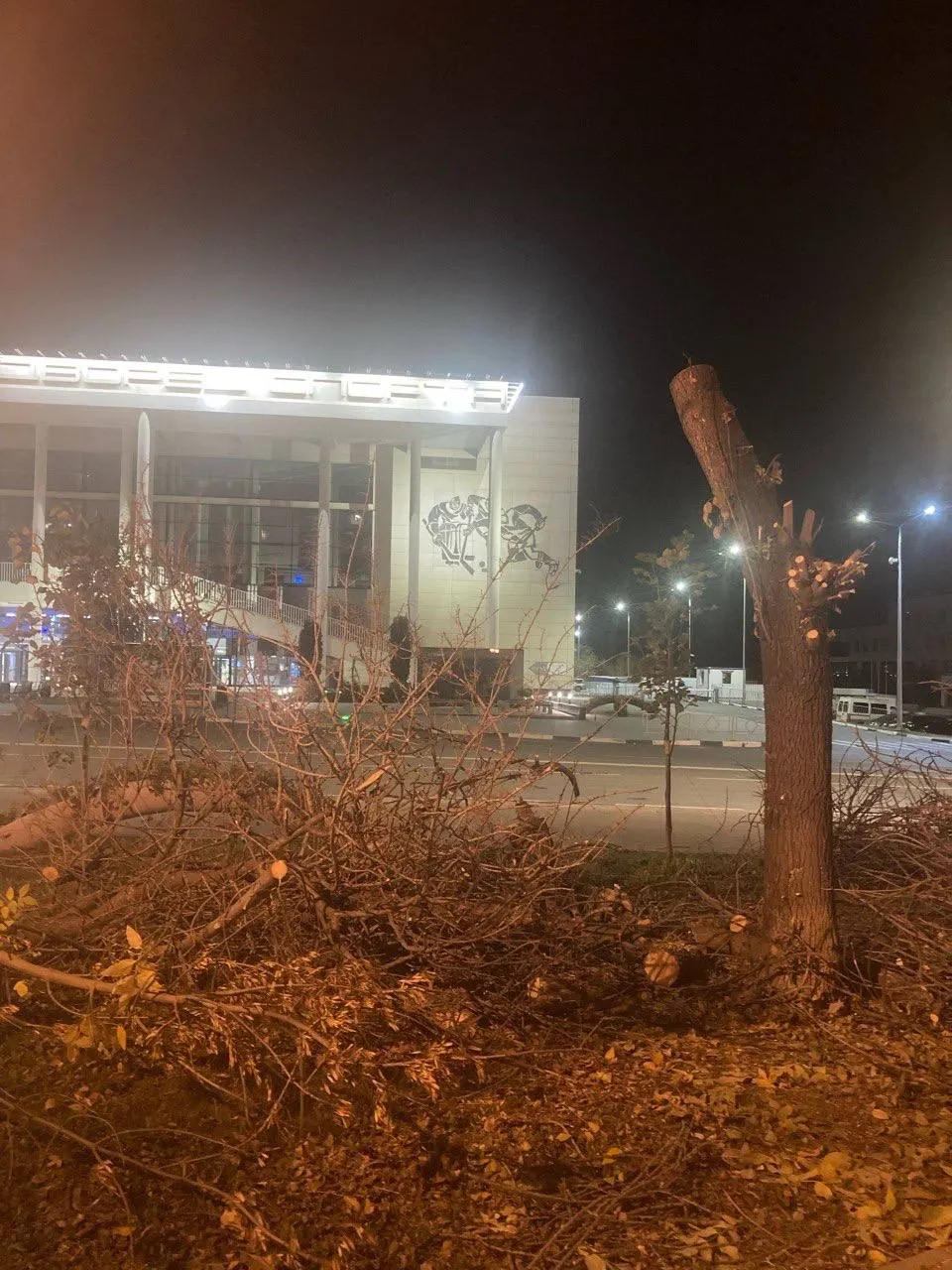 Зелёные массивы вырубают в нескольких районах города, что вызывает обеспокоенность местных жителей.
